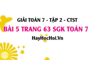 Giải bài 5 trang 63 Toán 7 tập 2 SGK Chân trời sáng tạo